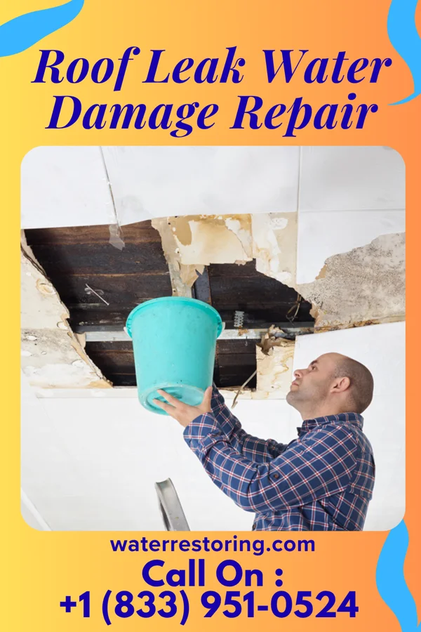 Roof Leak Water Damage Repair in Lavon, TX