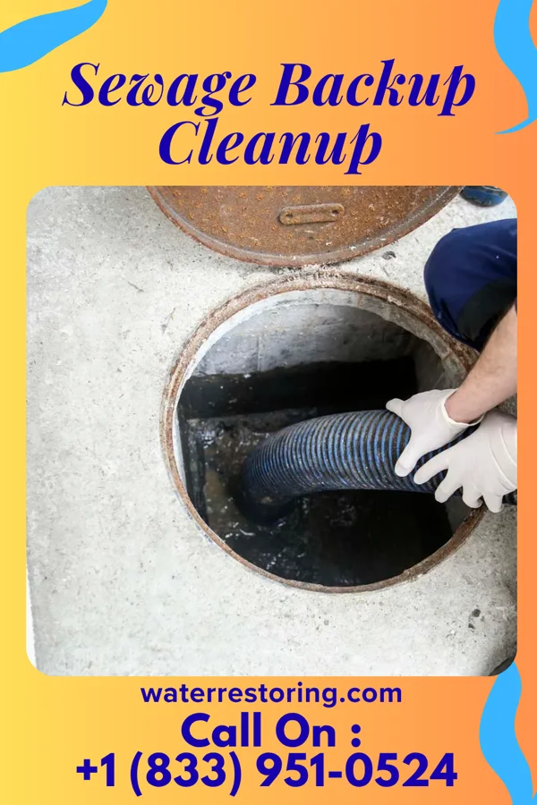 Sewage Backup Cleanup in Lavon, TX